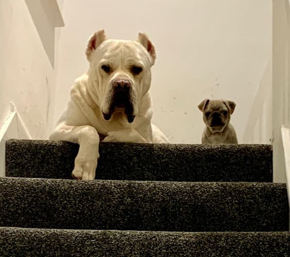 Business listing image