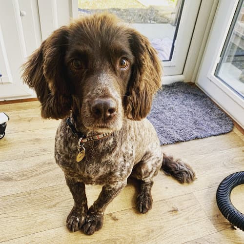 Business listing image