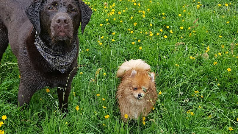 Business listing image