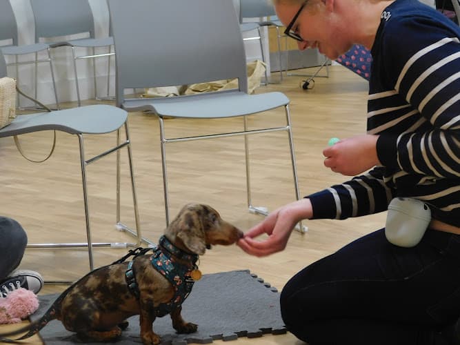 Business listing image