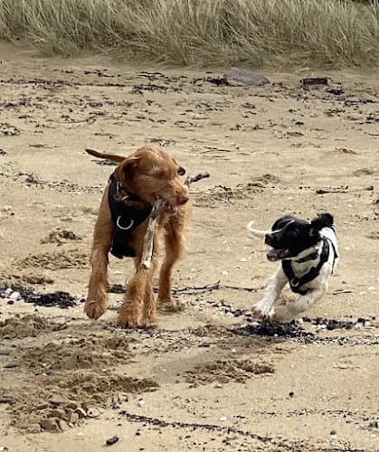 Business listing image