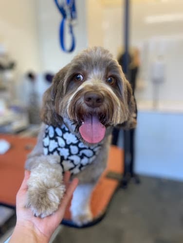 Business listing image