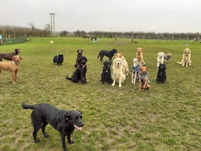 Business listing image