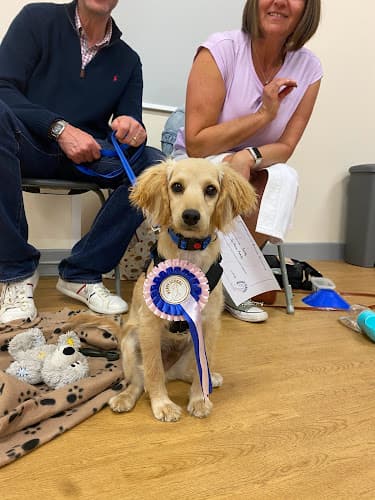 Business listing image