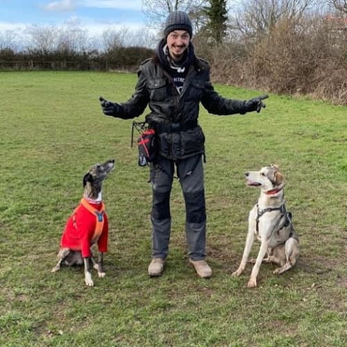 Business listing image