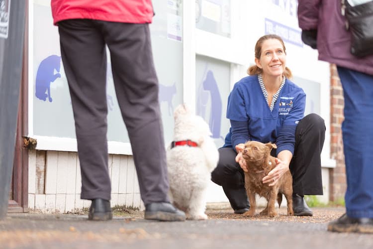 Business listing image