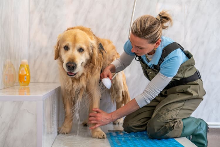 Business listing image