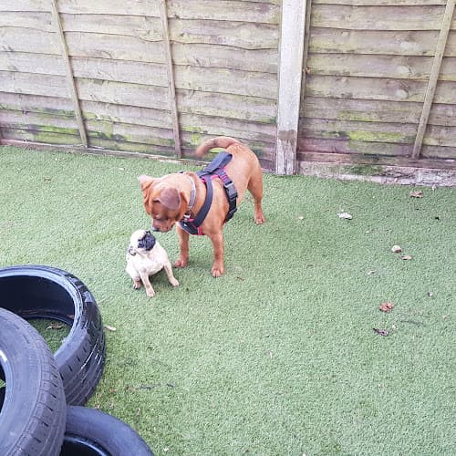 Business listing image