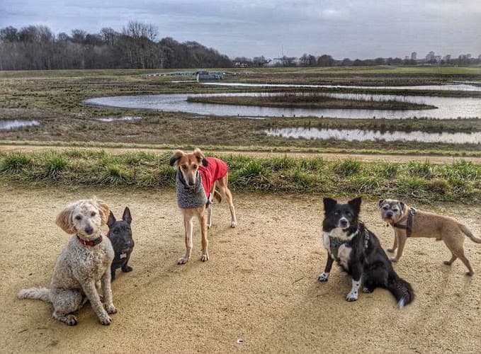 Business listing image