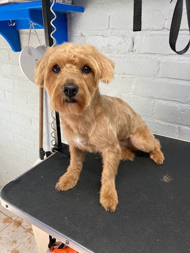 Business listing image