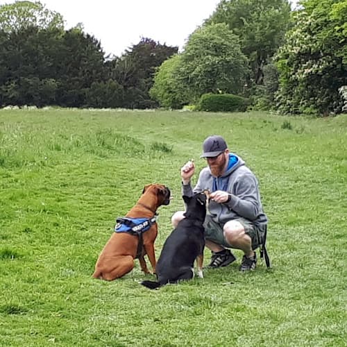 Business listing image